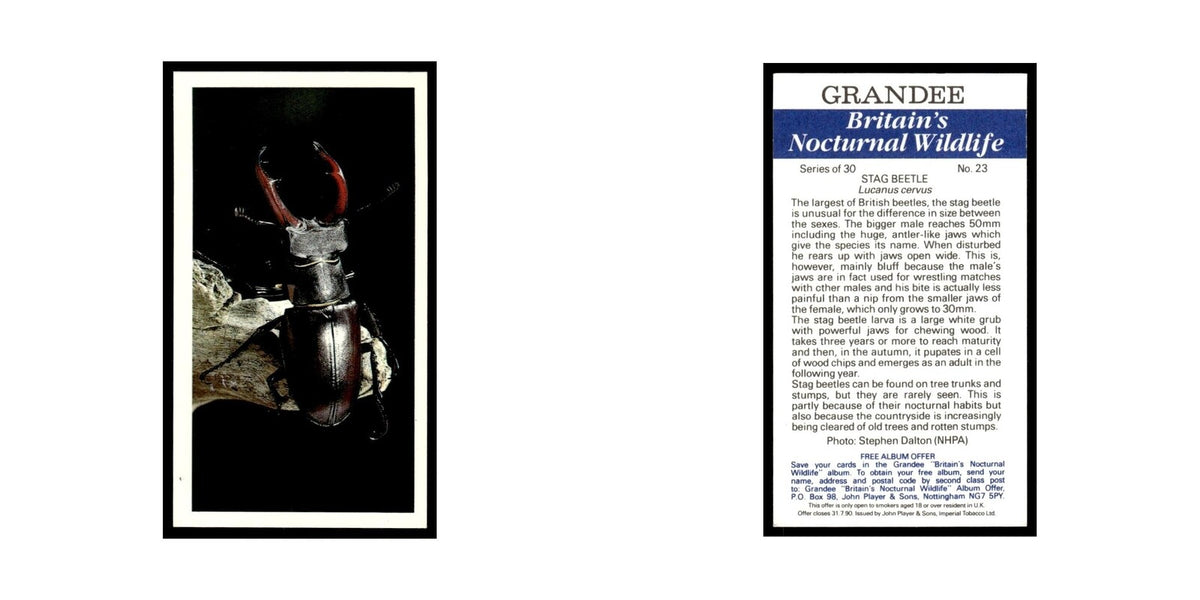 1987 Grandee Britain's Nocturnal Wildlife Stag Beetle #23