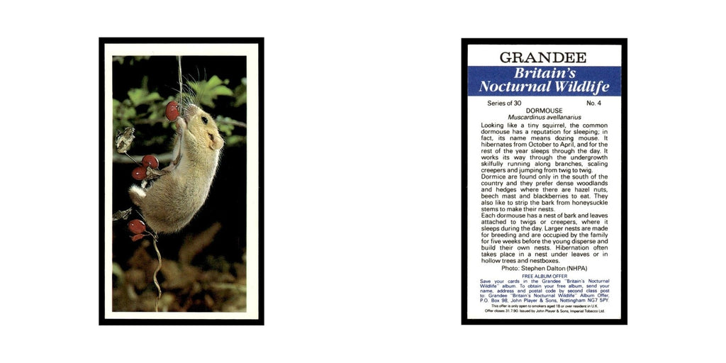 1987 Grandee Britain's Nocturnal Wildlife Dormouse #4