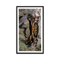 1987 Grandee Britain's Nocturnal Wildlife Shore Crab #28