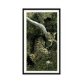 1987 Grandee Britain's Nocturnal Wildlife Wild Cat #8