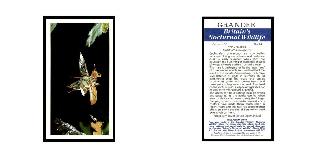 1987 Grandee Britain's Nocturnal Wildlife Cockchafer #24