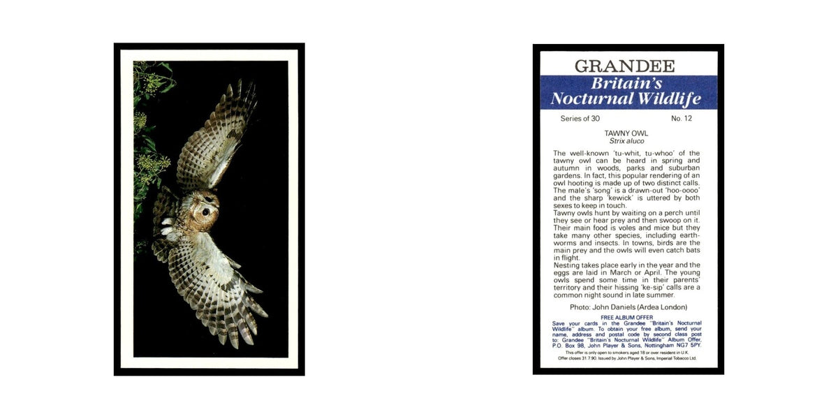 1987 Grandee Britain's Nocturnal Wildlife Tawny Owl #12