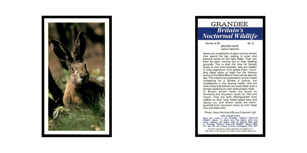 1987 Grandee Britain's Nocturnal Wildlife Brown Hare #3