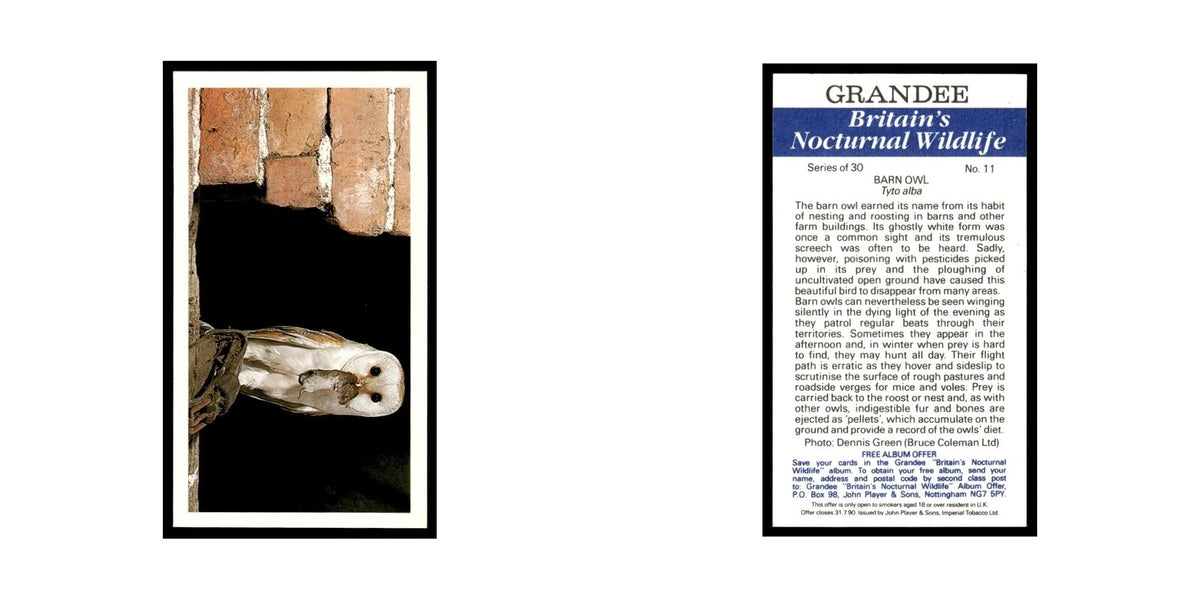 1987 Grandee Britain's Nocturnal Wildlife Barn Owl #11