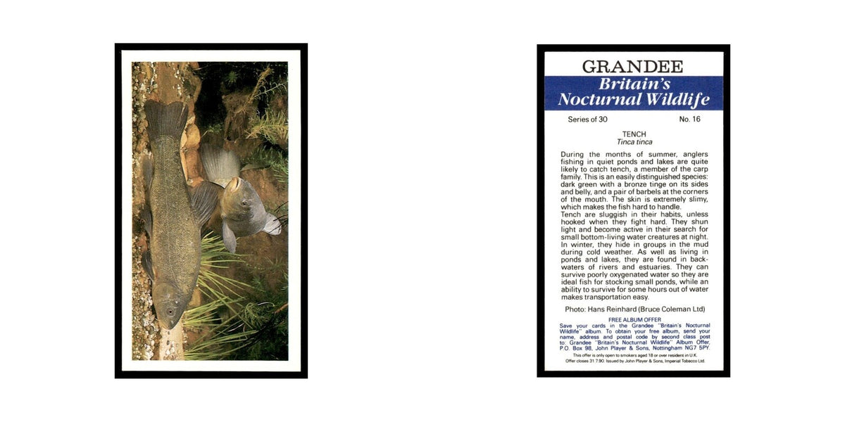 1987 Grandee Britain's Nocturnal Wildlife Tench #16