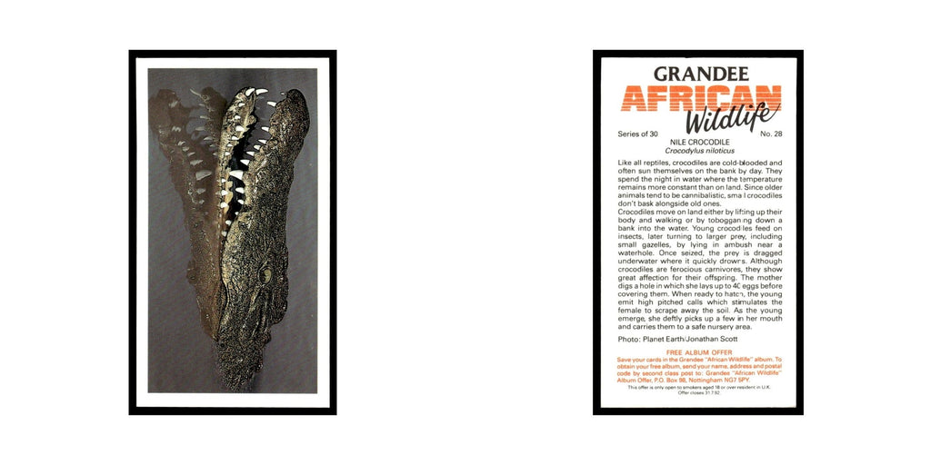 Nile Crocodile 1990 Grandee African Wildlife #28 Baseball Card EX