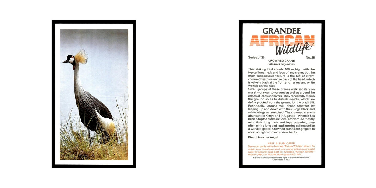 Crowned Crane 1990 Grandee African Wildlife #25 Baseball Card EX