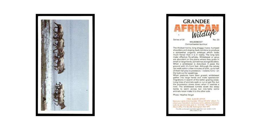 Wildebeest 1990 Grandee African Wildlife #23 Baseball Card EX