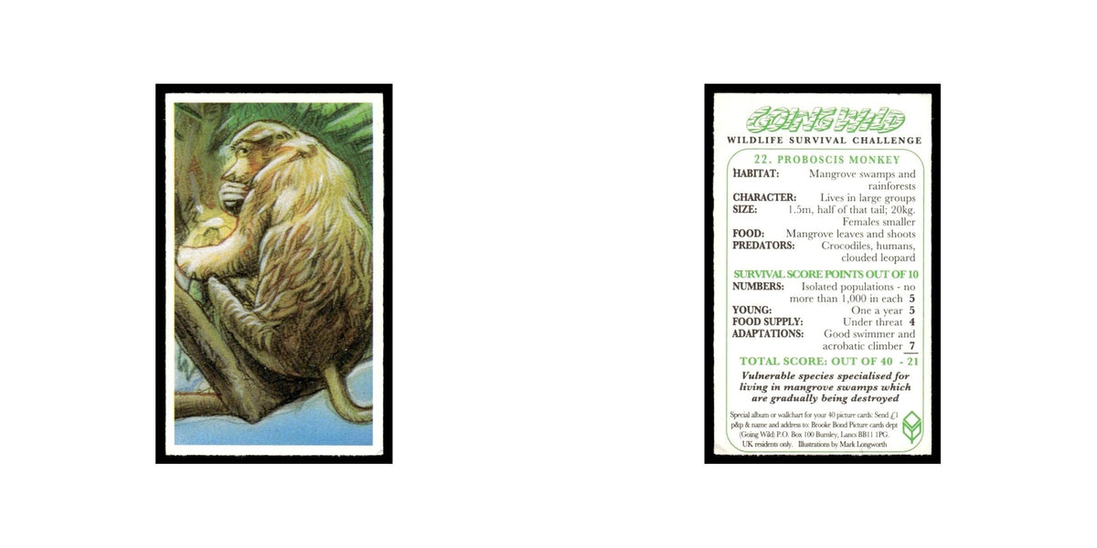 Proboscis Monkey 1994 Brooke Bond Going Wild #22 Baseball Card EX