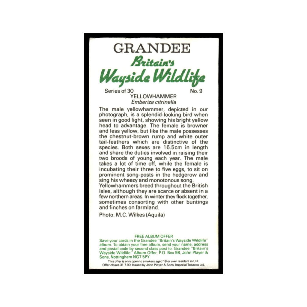 Yellowhammer 1988 Grandee Britain's Wayside Wildlife #9 Baseball Card EX