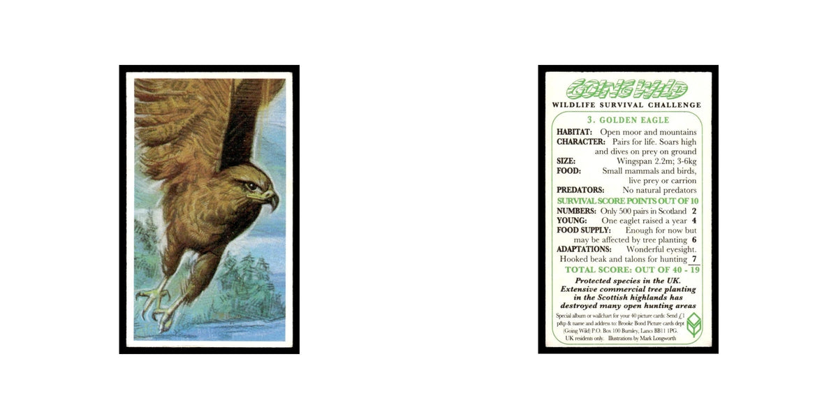 Golden Eagle 1994 Brooke Bond Going Wild #3 Baseball Card EX