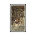 Beisa Oryx 1990 Grandee African Wildlife #17 Baseball Card EX