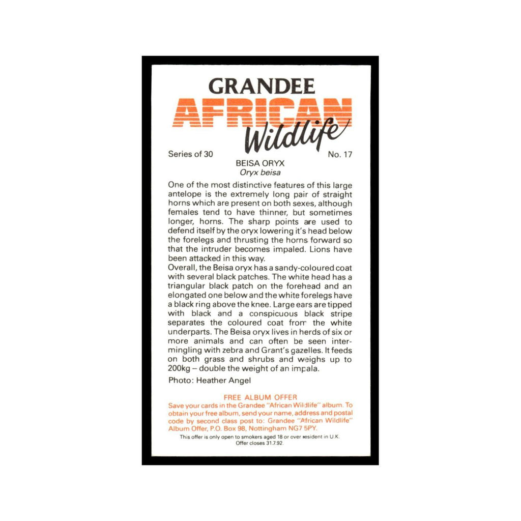 Beisa Oryx 1990 Grandee African Wildlife #17 Baseball Card EX