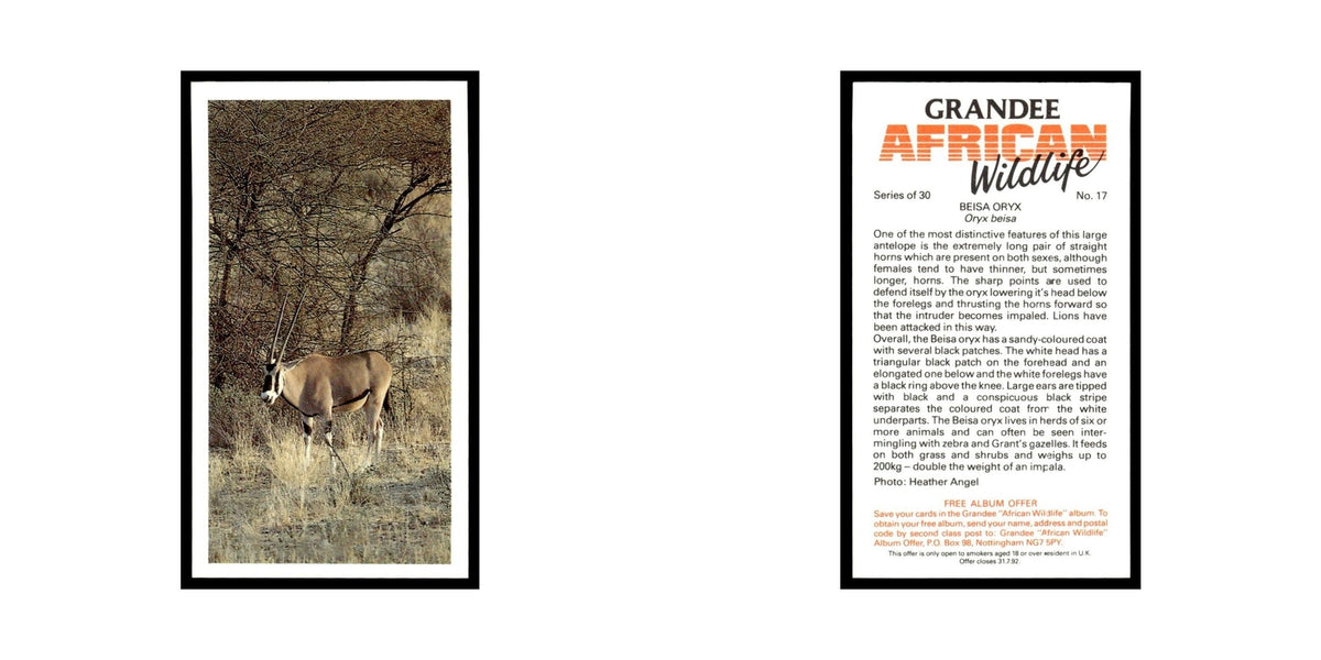 Beisa Oryx 1990 Grandee African Wildlife #17 Baseball Card EX