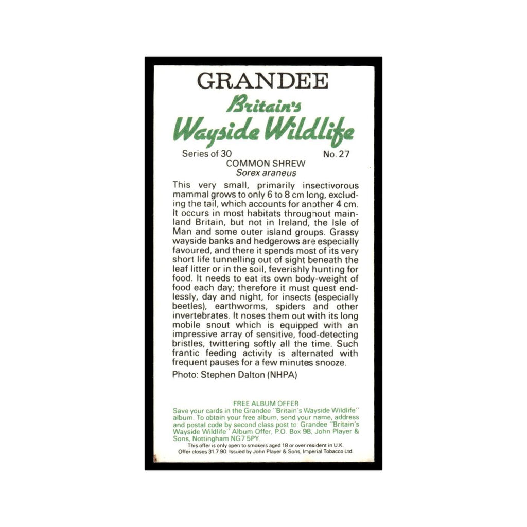 Common Shrew 1988 Grandee Britain's Wayside Wildlife #27 Baseball Card EX