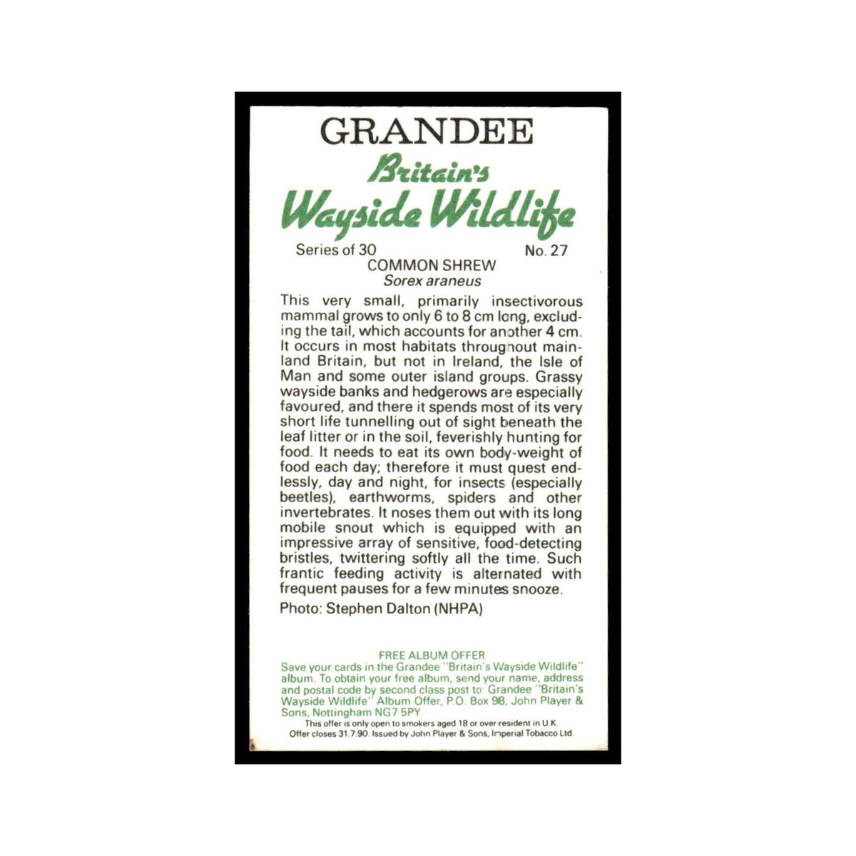 Common Shrew 1988 Grandee Britain's Wayside Wildlife #27 Baseball Card EX