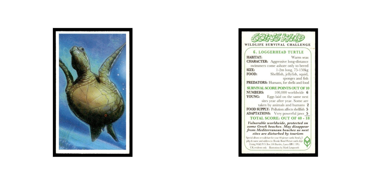 Loggerhead Turtle 1994 Brooke Bond Going Wild #6 Baseball Card EX