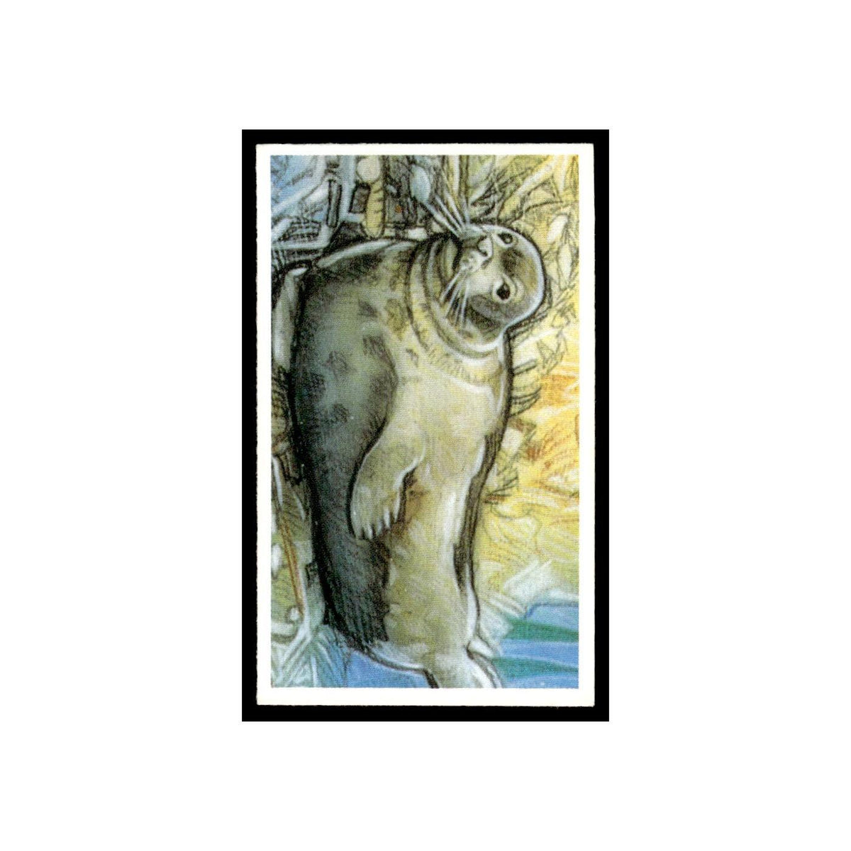 Mediterranean Monk Seal 1994 Brooke Bond Going Wild #5 Baseball Card EX