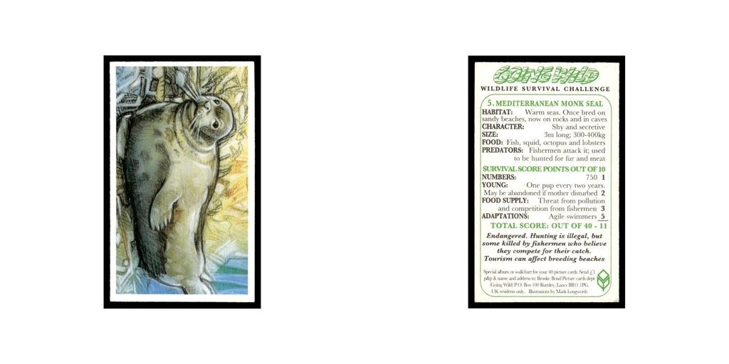 Mediterranean Monk Seal 1994 Brooke Bond Going Wild #5 Baseball Card EX