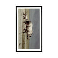 Black Rhinoceros 1990 Grandee African Wildlife #13 Baseball Card EX