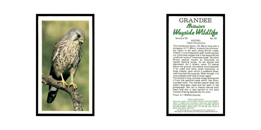 Kestrel 1988 Grandee Britain's Wayside Wildlife #26 Baseball Card EX