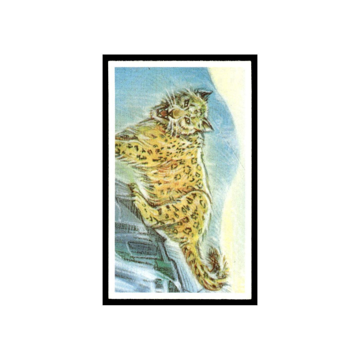 Snow Leopard 1994 Brooke Bond Going Wild #21 Baseball Card EX