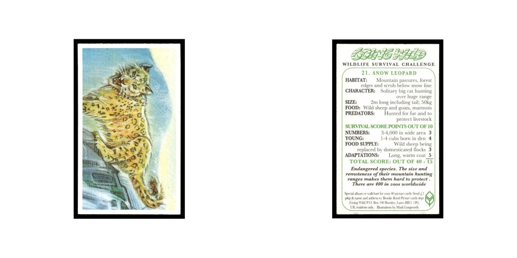 Snow Leopard 1994 Brooke Bond Going Wild #21 Baseball Card EX