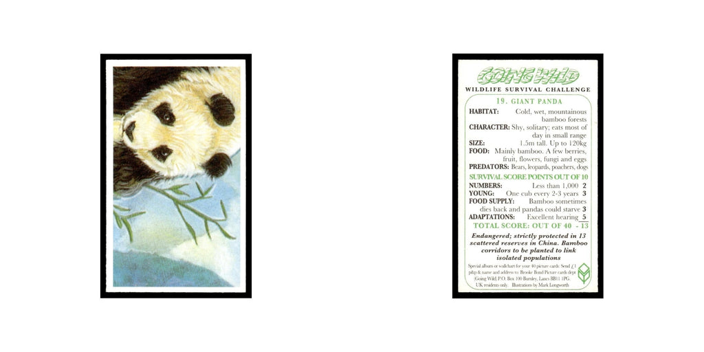 Giant Panda 1994 Brooke Bond Going Wild #19 Baseball Card EX