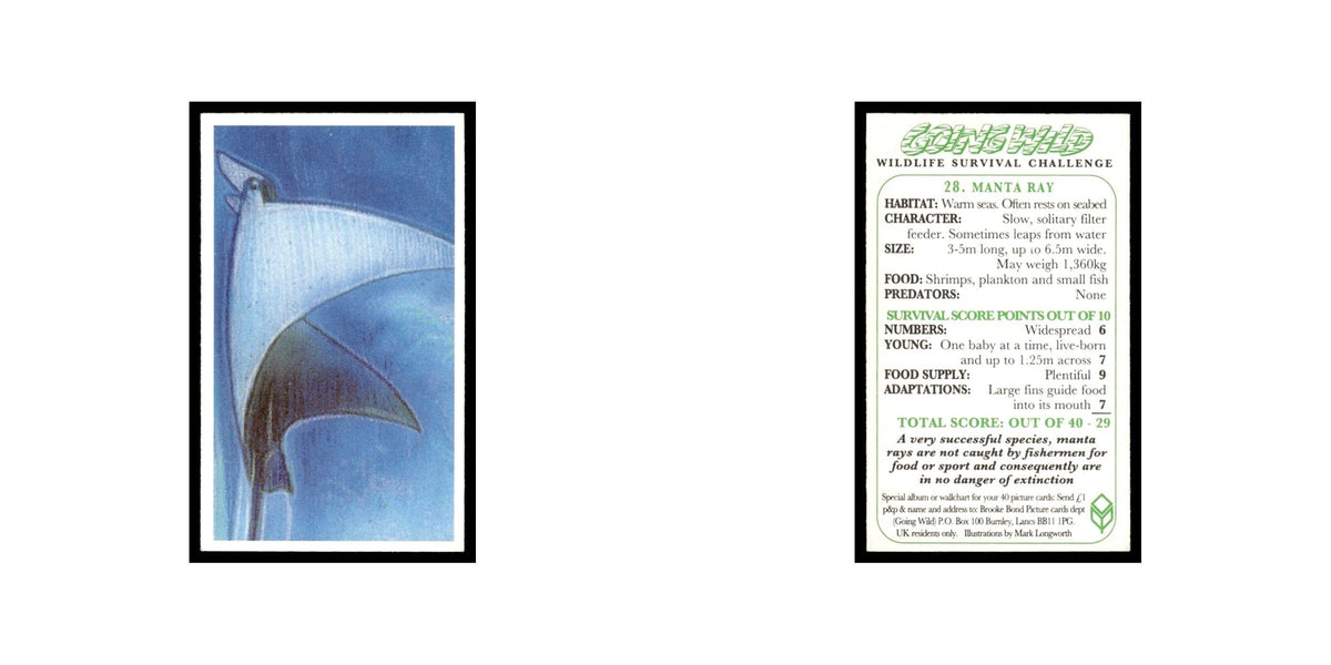 Manta Ray 1994 Brooke Bond Going Wild #28 Baseball Card EX