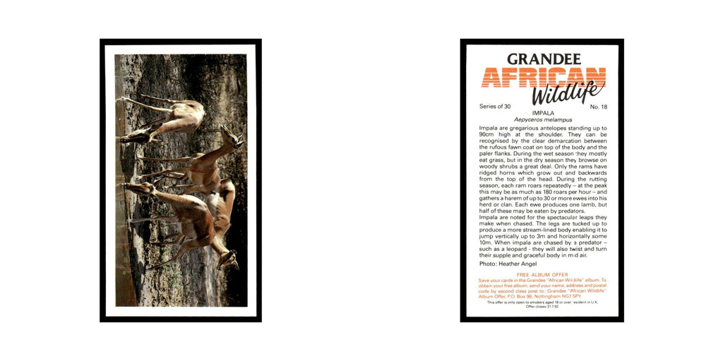 Impala 1990 Grandee African Wildlife #18 Baseball Card EX