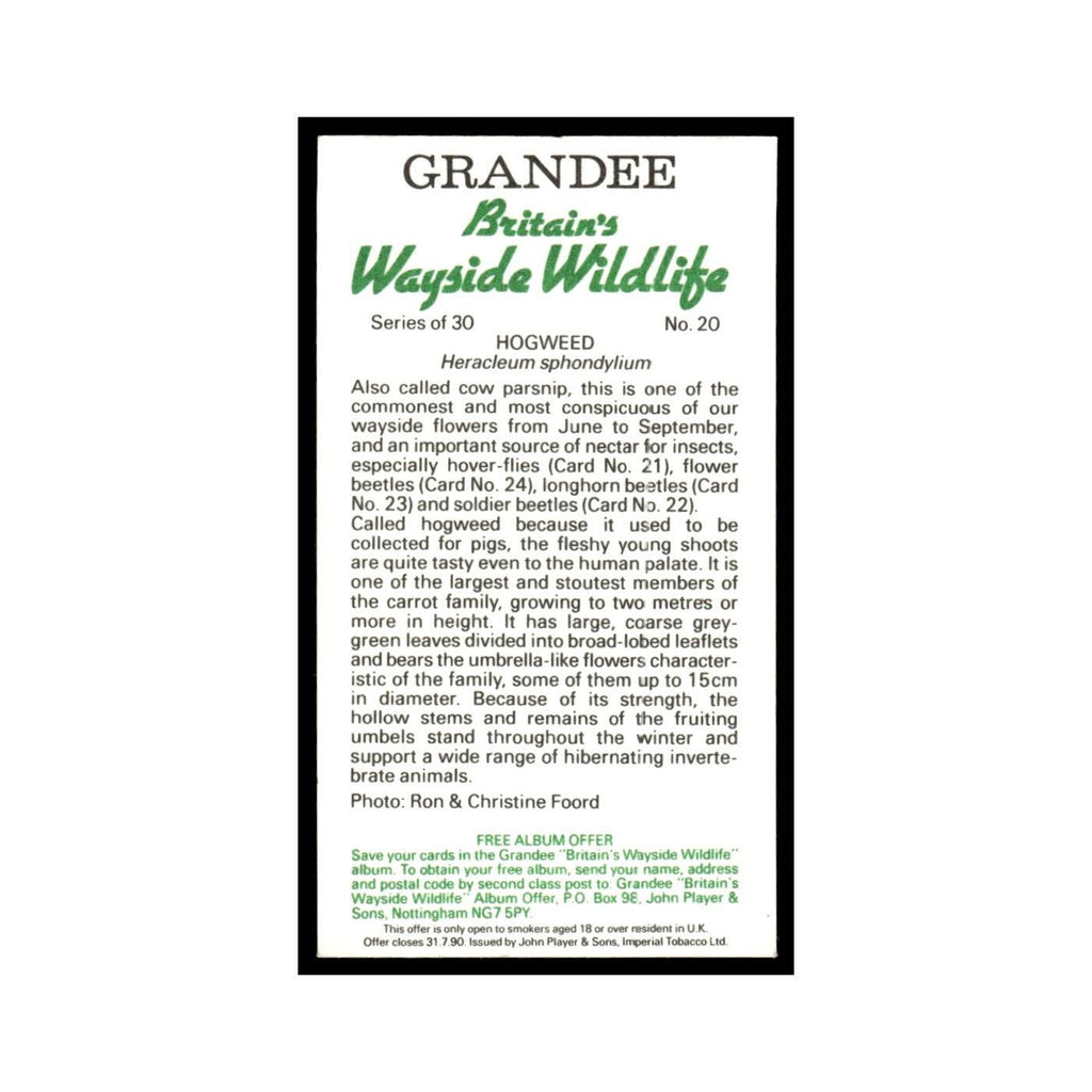 Hogweed 1988 Grandee Britain's Wayside Wildlife #20 Baseball Card EX