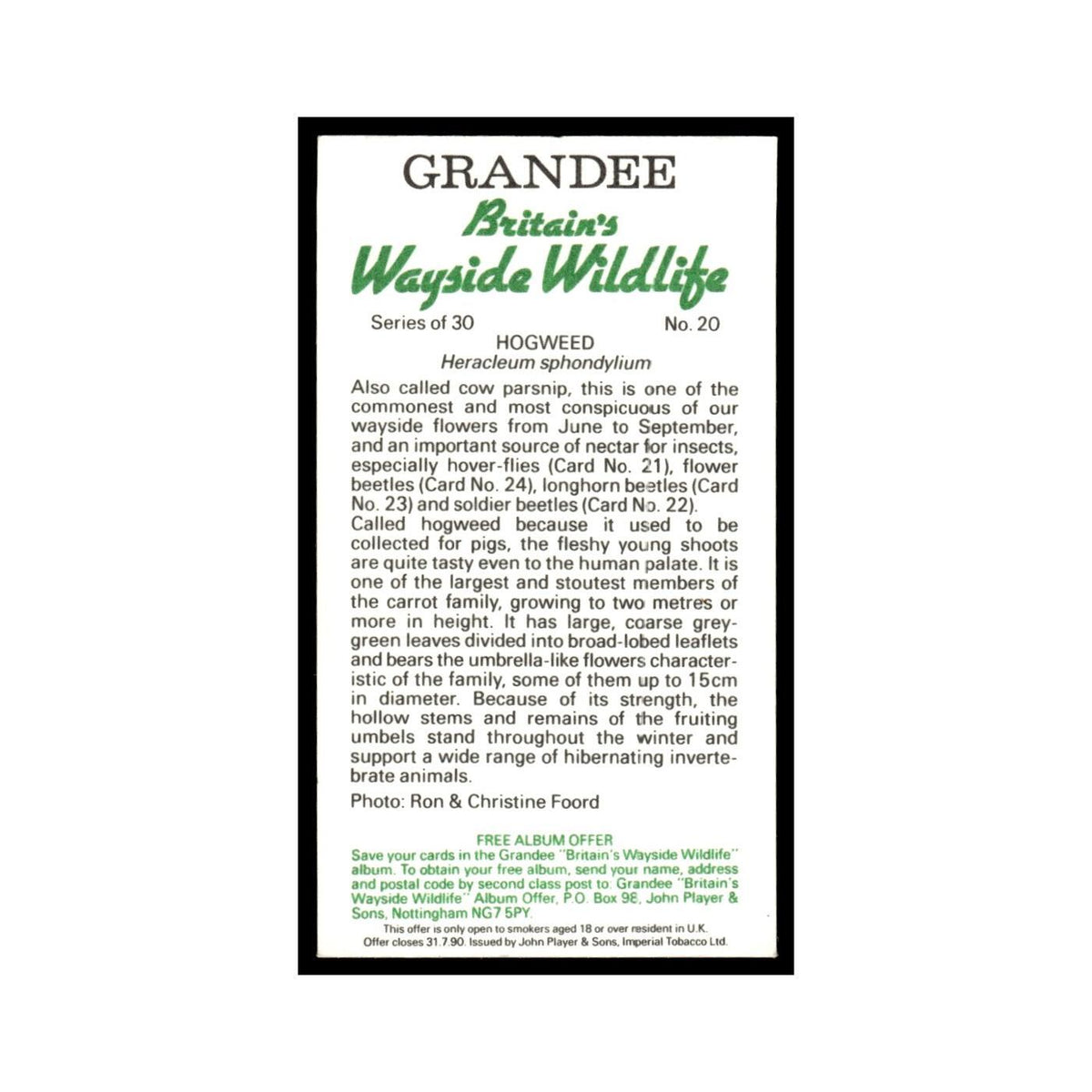 Hogweed 1988 Grandee Britain's Wayside Wildlife #20 Baseball Card EX