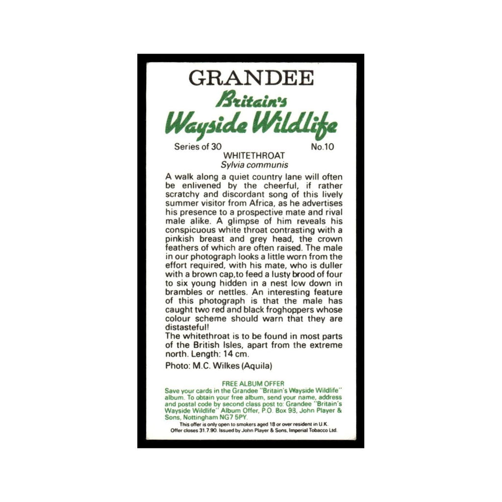 Whitethroat 1988 Grandee Britain's Wayside Wildlife #10 Baseball Card EX