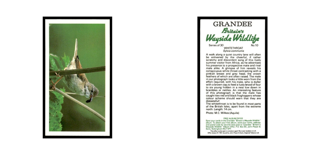 Whitethroat 1988 Grandee Britain's Wayside Wildlife #10 Baseball Card EX