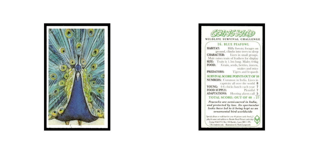 Blue Peafowl 1994 Brooke Bond Going Wild #16 Baseball Card EX