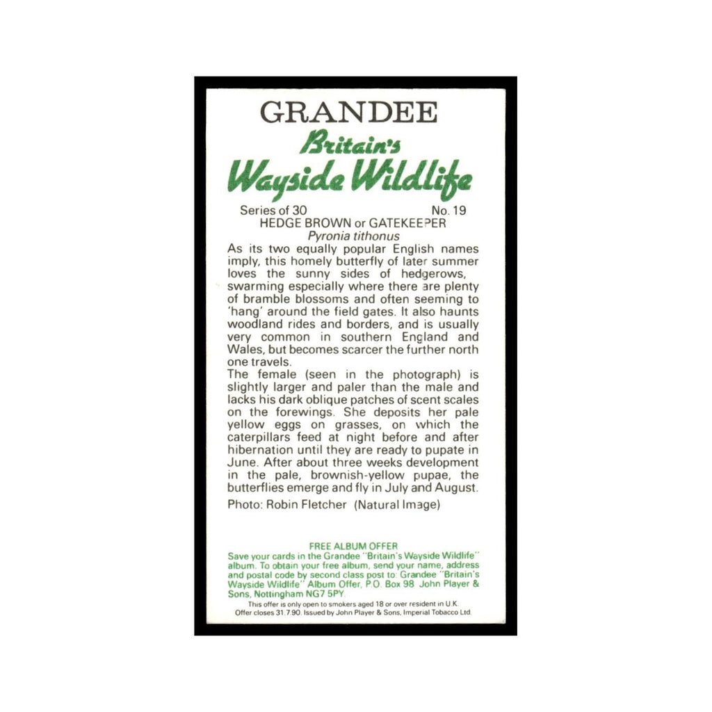 Hedge Brown Gatekeeper 1988 Grandee Britain's Wayside Wildlife #19 EX