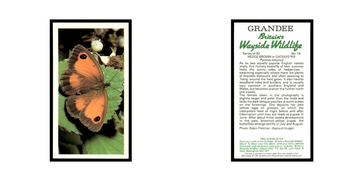 Hedge Brown Gatekeeper 1988 Grandee Britain's Wayside Wildlife #19 EX