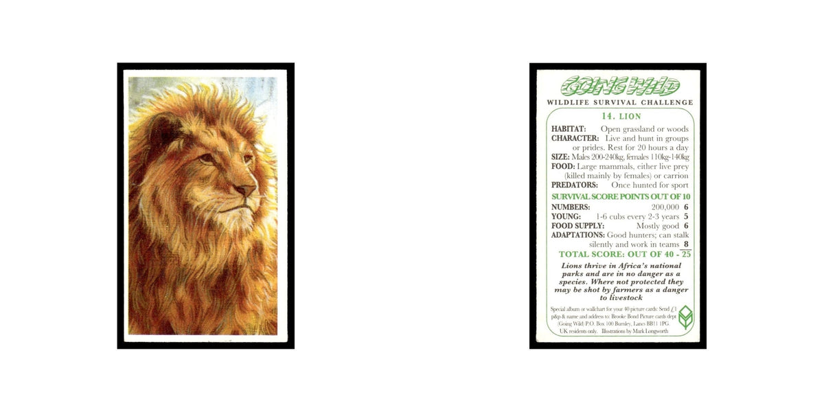 Lion 1994 Brooke Bond Going Wild #14 Baseball Card EX