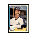1981 Fleer Todd Cruz Baseball Cards #341