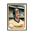 1981 Fleer Willie Montanez Baseball Cards #506