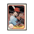 1981 Fleer Terry Kennedy Baseball Cards #541