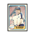 1981 Fleer Jim Morrison Baseball Cards #357