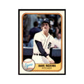1981 Fleer Dave Rozema Baseball Cards #464