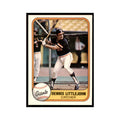 1981 Fleer Dennis Littlejohn Baseball Cards #455