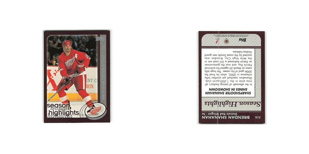 Brendan Shanahan 2002 Topps #316 Detroit Red Wings Hockey Card NM