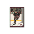 Claude Lemieux 2002 Topps #227 Phoenix Coyotes Hockey Card NM