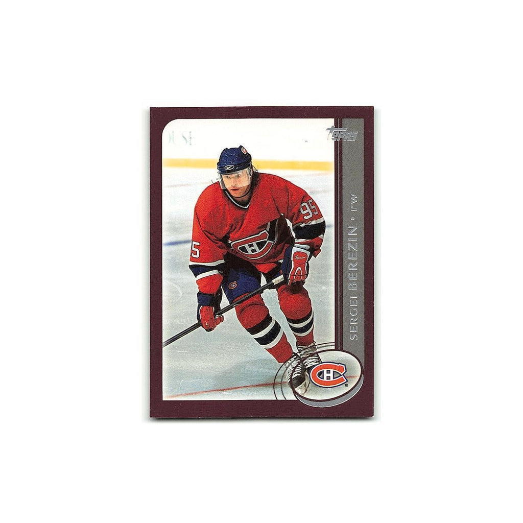 Sergei Berezin 2002 Topps #157 Montreal Canadiens Hockey Card NM