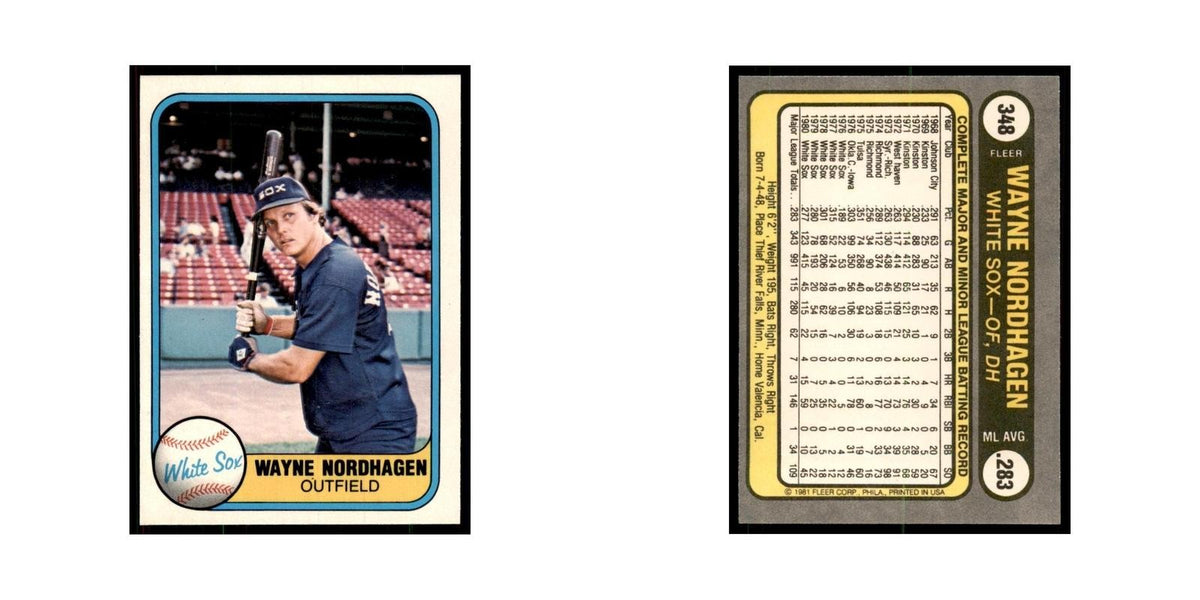 1981 Fleer Wayne Nordhagen Baseball Cards #348