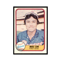 1981 Fleer Mike Lum Baseball Cards #258