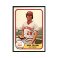 1981 Fleer Dave Collins Baseball Cards #201